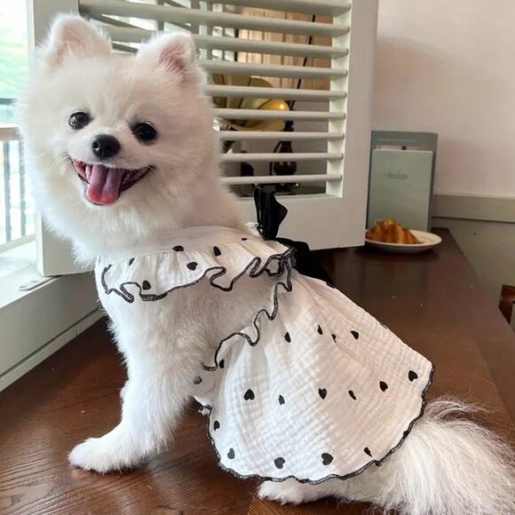 Dog Polka Dot Summer Dress Small Dogs Size Large NWT - Picture 2 of 6